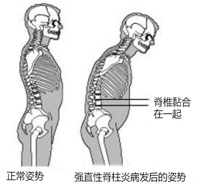 ǿֱԼףߴ.jpg
