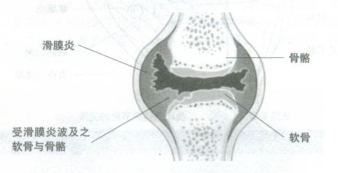 ʲôǻĤף.jpg