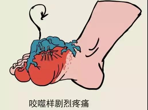 ʹ综ôָ