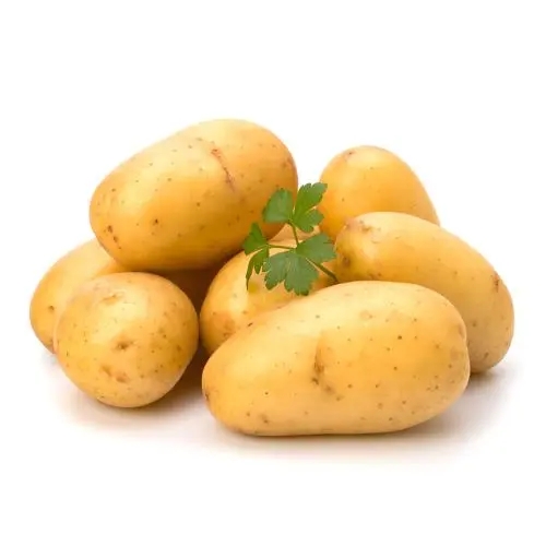 ʹ综ܳ