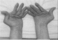 ʪҪ?